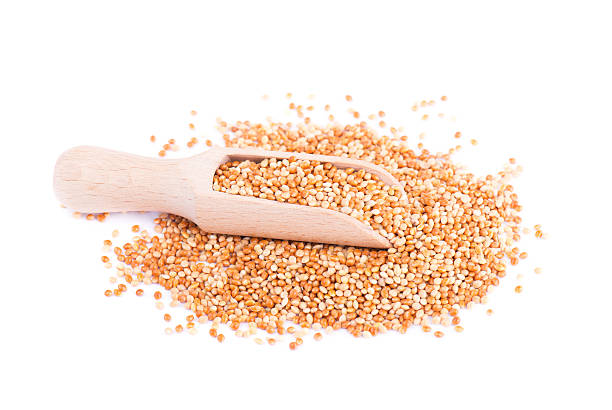 istock Mix of different varieties of millet 520498044