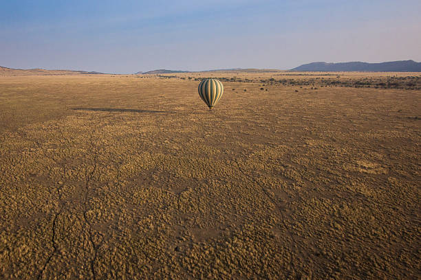 istock Hot air balloon in savannah 520501528