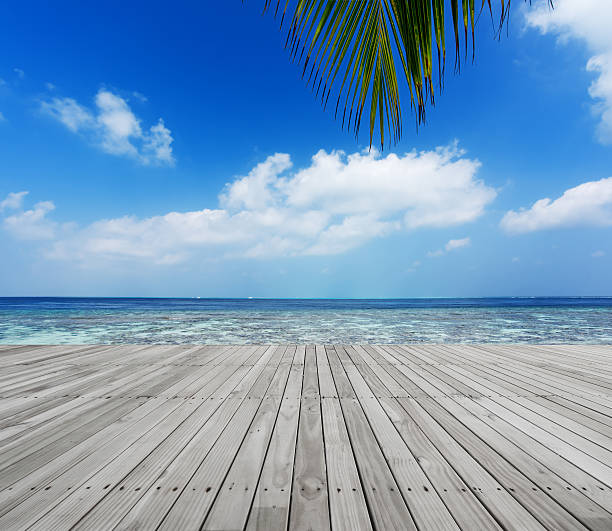istock Wooden platform beside tropical lagoon 520503608