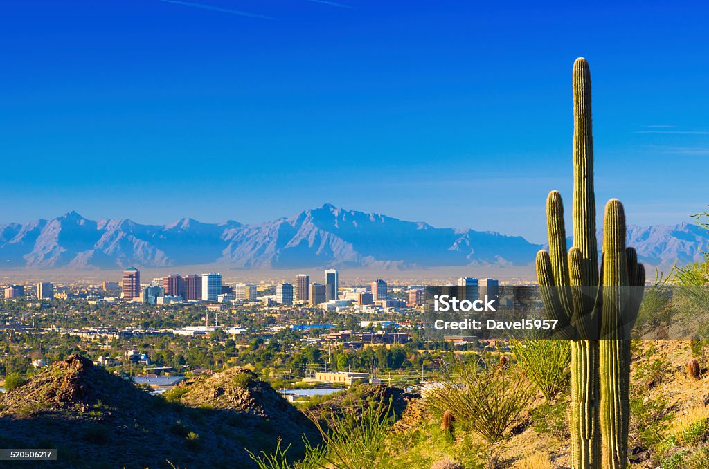 Phoenix skyline and cactus Phoenix midtown skyline with a Saguaro Cactus and other desert scenery in the foreground. Phoenix - Arizona Stock Photo