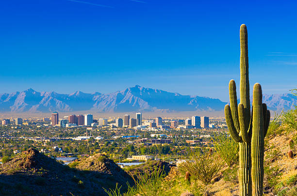 Phoenix skyline and cactus Phoenix midtown skyline with a Saguaro Cactus and other desert scenery in the foreground. arizona stock pictures, royalty-free photos & images