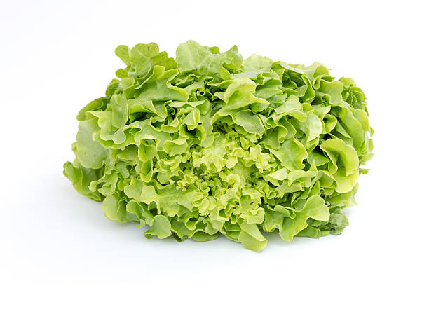 istock Green vegetable isolated on white background 520506291