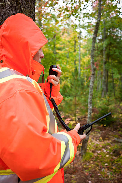 istock Search and Rescue Volunteer in Nova Scotia Forest 520506507