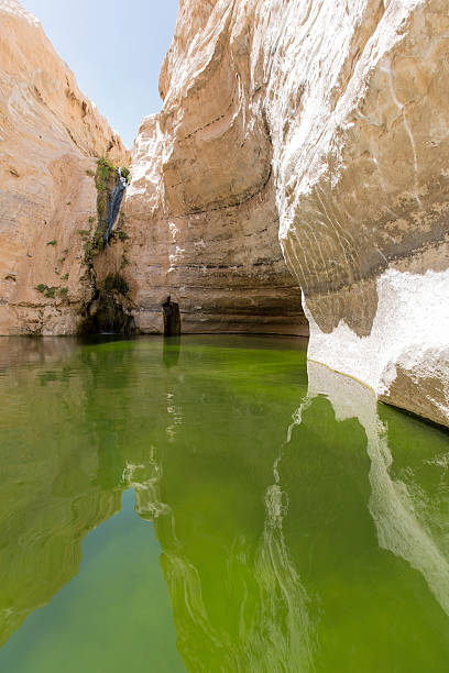 istock gorges in the Negev desert 520507085