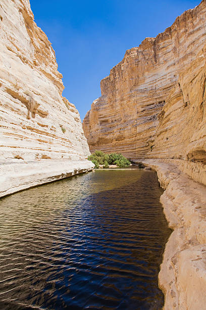 istock gorge in the Negev desert 520507729