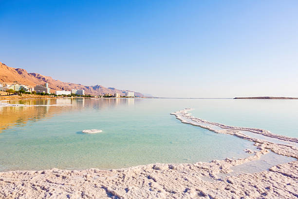 istock Landscape Dead Sea coastline 520508123