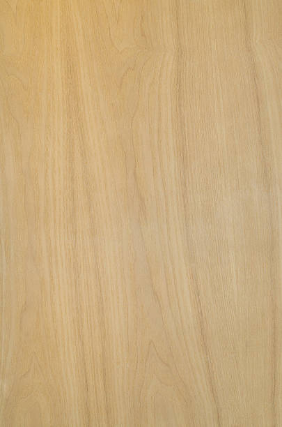istock Texture of wood background closeup 520508719