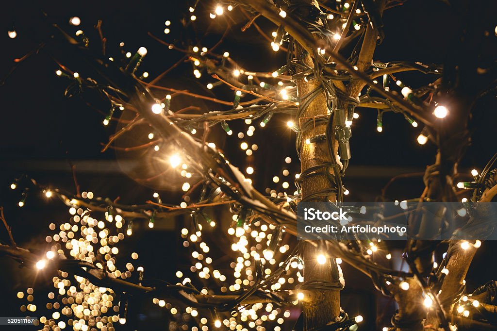 shot of trees on street decorated with lights outdoor shot of trees on street decorated with lights Bright Stock Photo