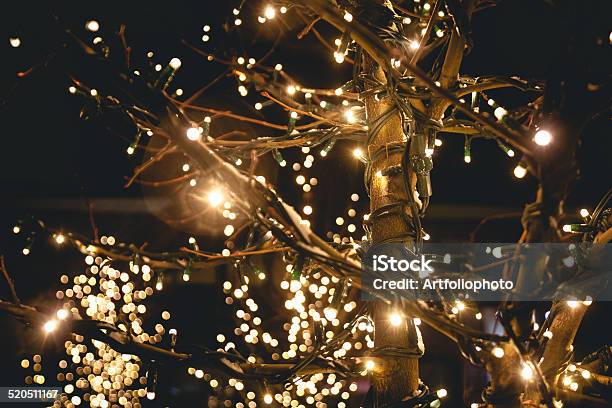 Shot Of Trees On Street Decorated With Lights Stock Photo - Download Image Now - Bright, Celebration, Christmas