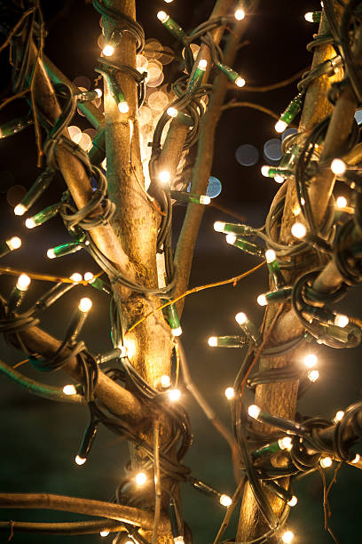 istock shot of tree decorated with lights at night 520511547