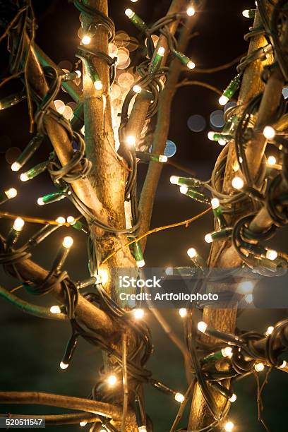 Shot Of Tree Decorated With Lights At Night Stock Photo - Download Image Now - Christmas Lights, Outdoors, Bright