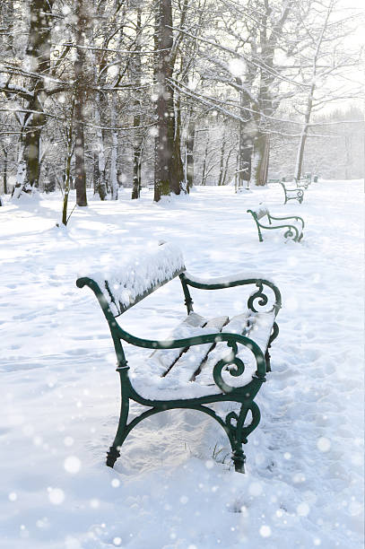 istock Benches in the park. Winter landscape 520513801