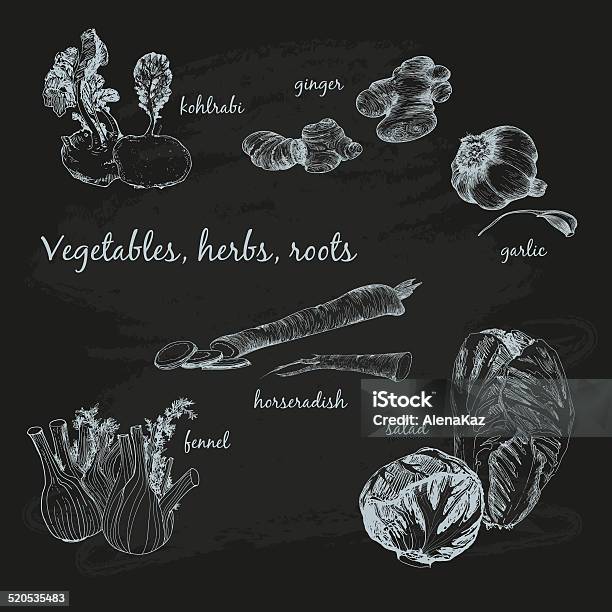 Vegetables Herb And Roots Stock Illustration - Download Image Now - Black Background, Salad, Chalkboard - Visual Aid