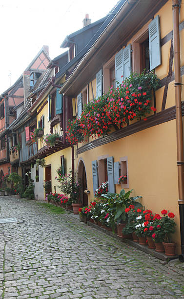 istock Street in Eguisheim 520535503