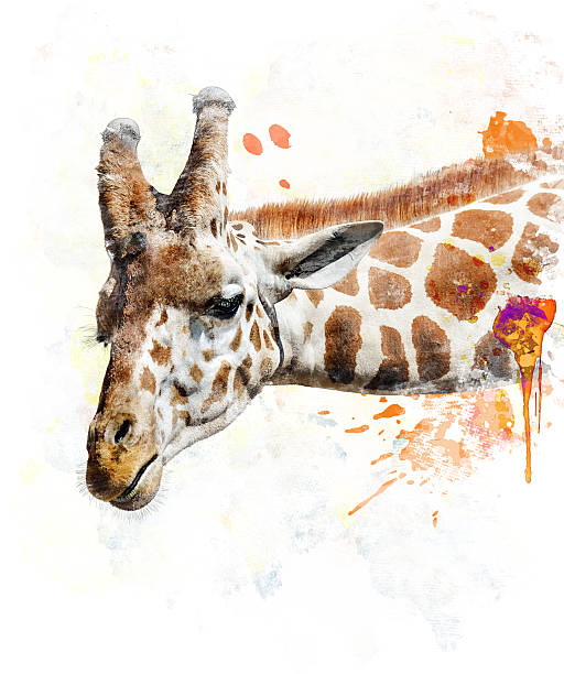 istock Watercolor Image Of Giraffe 520538557