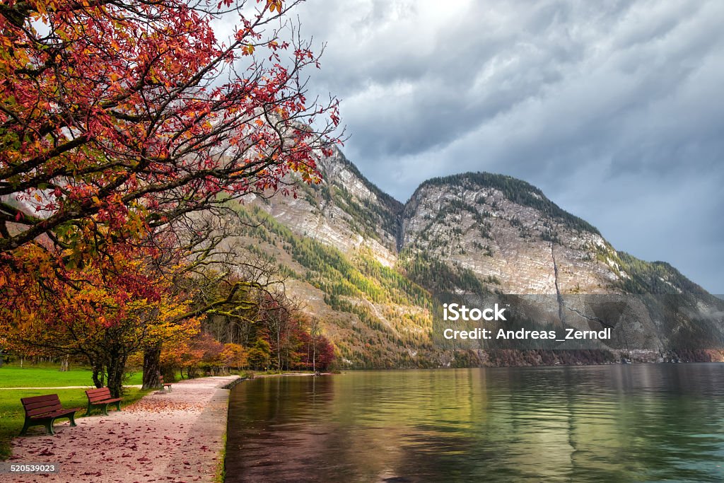 Lovely Autumn at the Sea of Kings Idyllic Autumn Scenery at the lovely sea of kings in Berchtesgaden, Germany. Lovely colorful trees in Bavaria Autumn Stock Photo