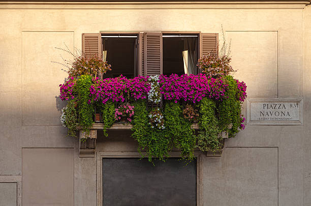 balcone su piazza navona - balcony rome window ornate foto e immagini stock