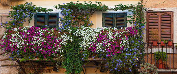 balkony na plac navona - balcony rome window ornate zdjęcia i obrazy z banku zdjęć