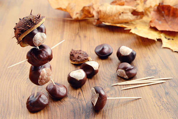 istock to craft Chestnut mannequin 520541493