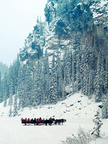 istock Sleigh ride at Lake Louise, Alberta,Canada 520542145