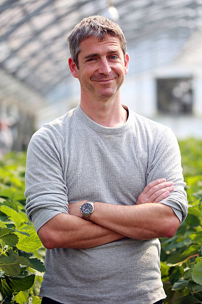 istock Farmer harvesting strawberries in a greenhouse. 520542496