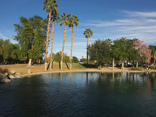 istock Pond Civic Park Palm Desert California 520542565