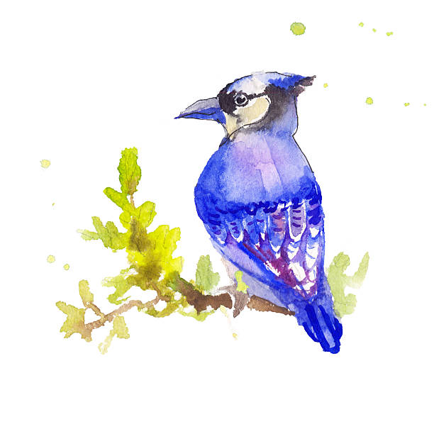 istock Sketch of blue bird isolated. Blue bird in sketch style. 520544370