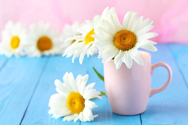 istock Chamomile flowers in cup on a blue wooden background 520548222