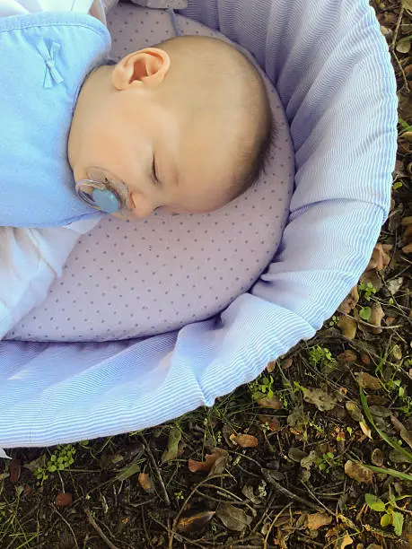 Sleeping four month baby boy lying in carrycot over forest surface. Overhead view