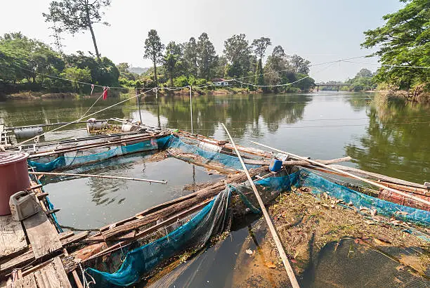 Photo of the coop for fish farm in river of thailand