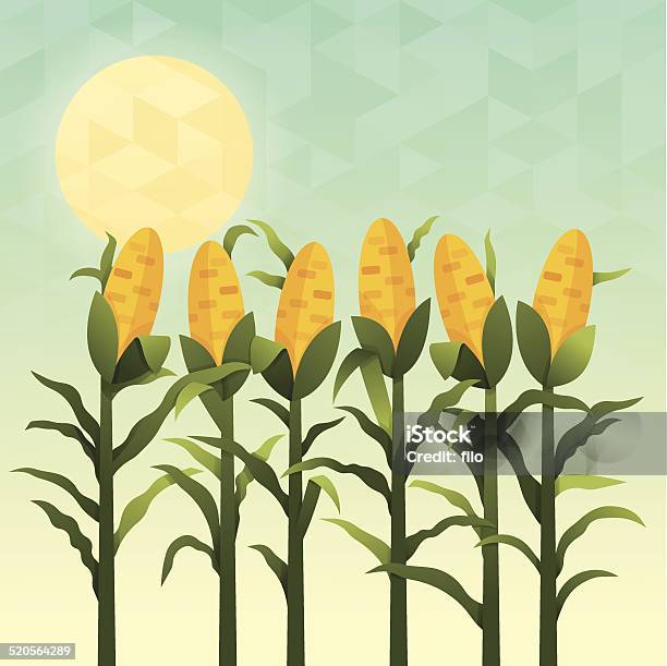 Cornfield Stock Illustration - Download Image Now - Corn - Crop, Corn, Agricultural Field