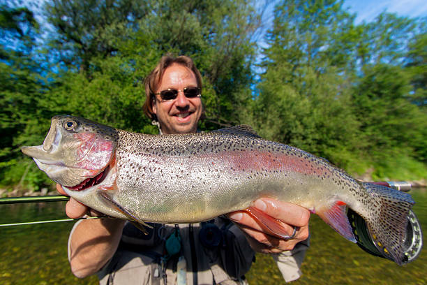 istock Flyfisherman holding a rainbow trout 520565555