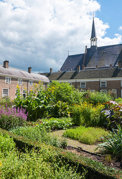 istock Colorful garden in a Dutch Beguinage 520567551