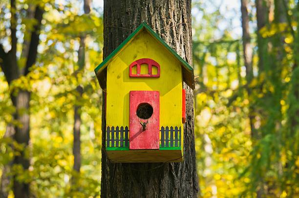 istock funny colorful birdhouse 520567659