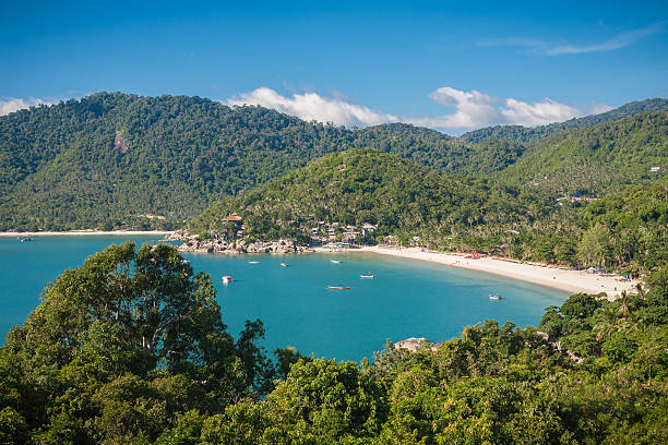 istock Wonderful Tropical Beach And Jungle 520567971
