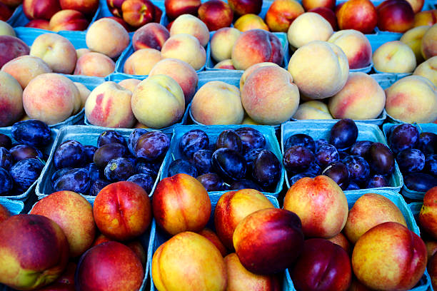 Organic Nectarine Plum Peach stock photo
