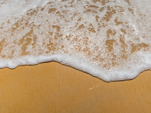 istock Waves wash over golden sand on beach 520581418
