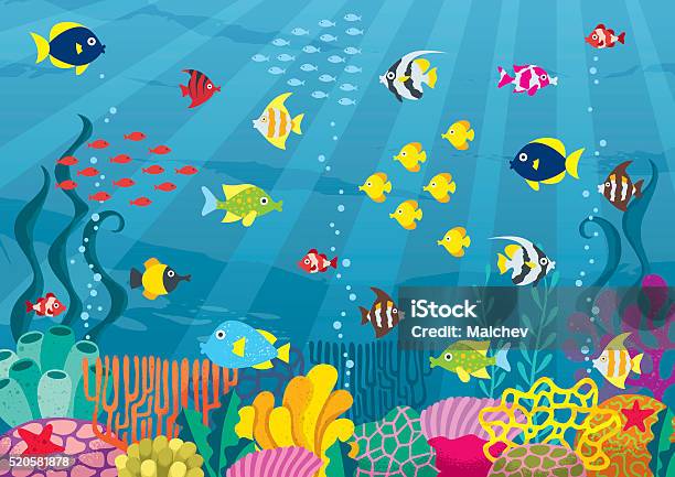 Undersea Stock Illustration - Download Image Now - Fish, Undersea, Sea
