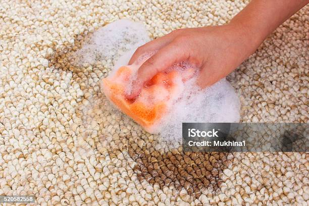 Female Hand Cleans Carpet With Sponge And Detergen Stock Photo - Download Image Now - Carpet - Decor, Stained, Dishwashing Liquid