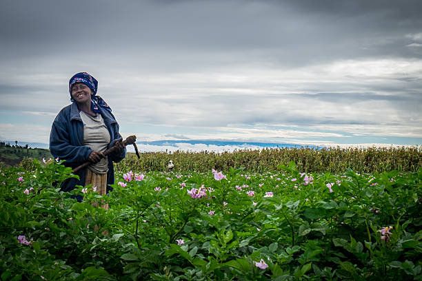 Female Potatoe Farmer in Kenya
