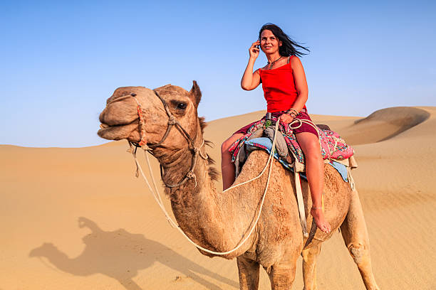 istock Young woman using mobile on a camel, Rajasthan, India 520584804