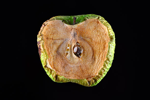 le plaisir pomme sur fond noir - rotting food mold fruit photos et images de collection