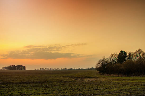 istock Picture of early spring 520590414