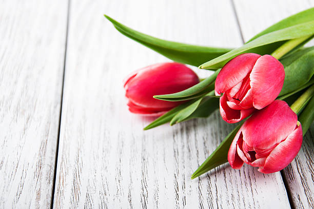 istock bouquet of tulips 520594514
