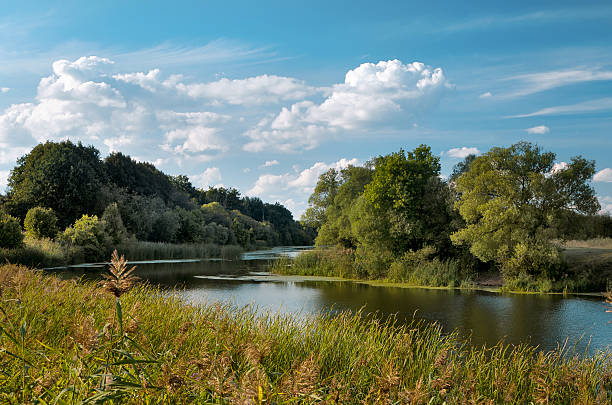 istock Autumn landscape with river and clouds 520599577