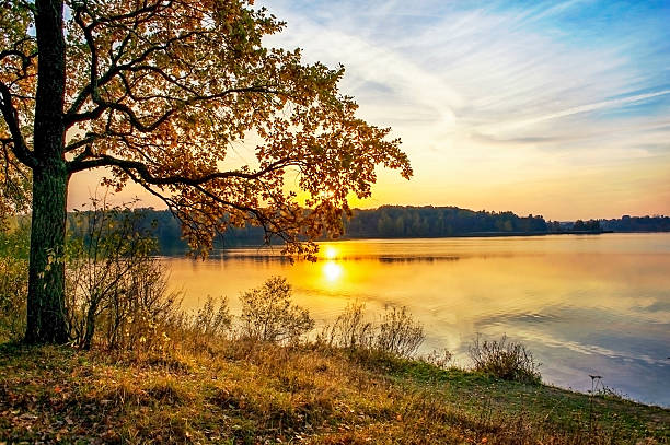 istock Autumn sunset on the lake 520599583