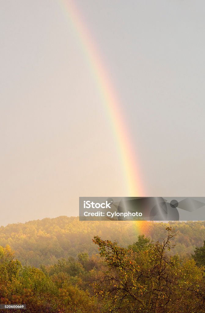 Rainbow over trees Beautiful rainbow over trees. Hope - Concept Stock Photo