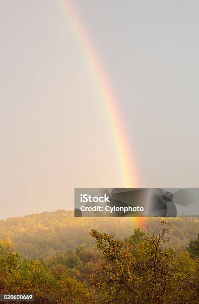 Rainbow Over Trees Stock Photo - Download Image Now - Hope - Concept, Nature, Rainbow