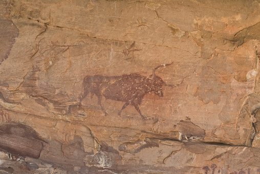 Cave painting with the representation of a bovid and archer in the shelter of Selva Pascuala. Villar del Humo - Cuenca - Spain