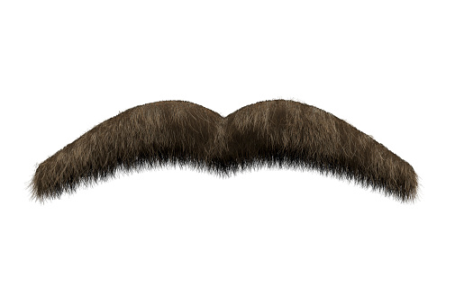 Realistic 3D render of a brown hairy moustache isolated on a white background